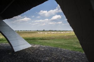 Bugac pásztormúzeum kilátás